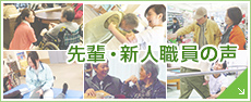 新入・先輩職員の声